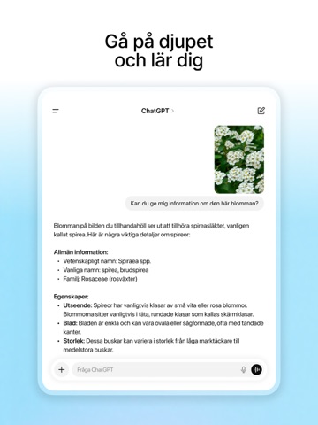ChatGPT App Store preview screenshot 14