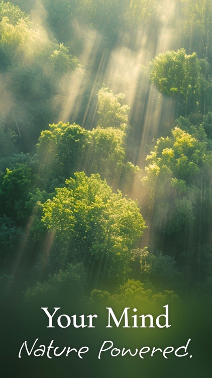 Portal - Escape Into Nature