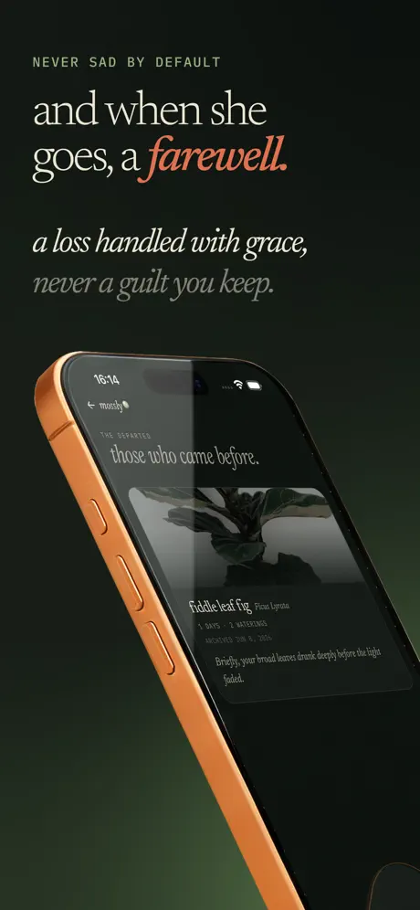 Mossly screenshot 5
