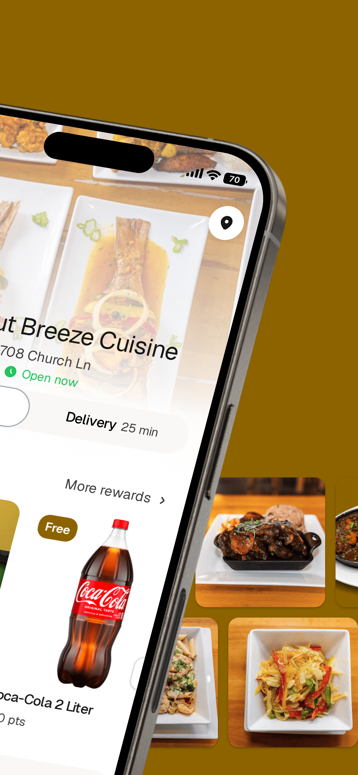 Coconut Breeze Cuisine screenshot 2