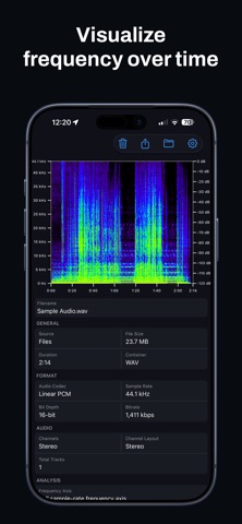 Audio Spectrogram Analyzer screenshot 2