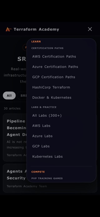 Terraform Academy Screenshot 5 of 10