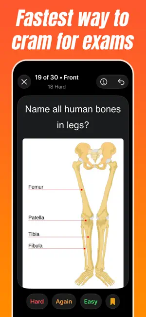 Crammer: Flash cards maker screenshot 1