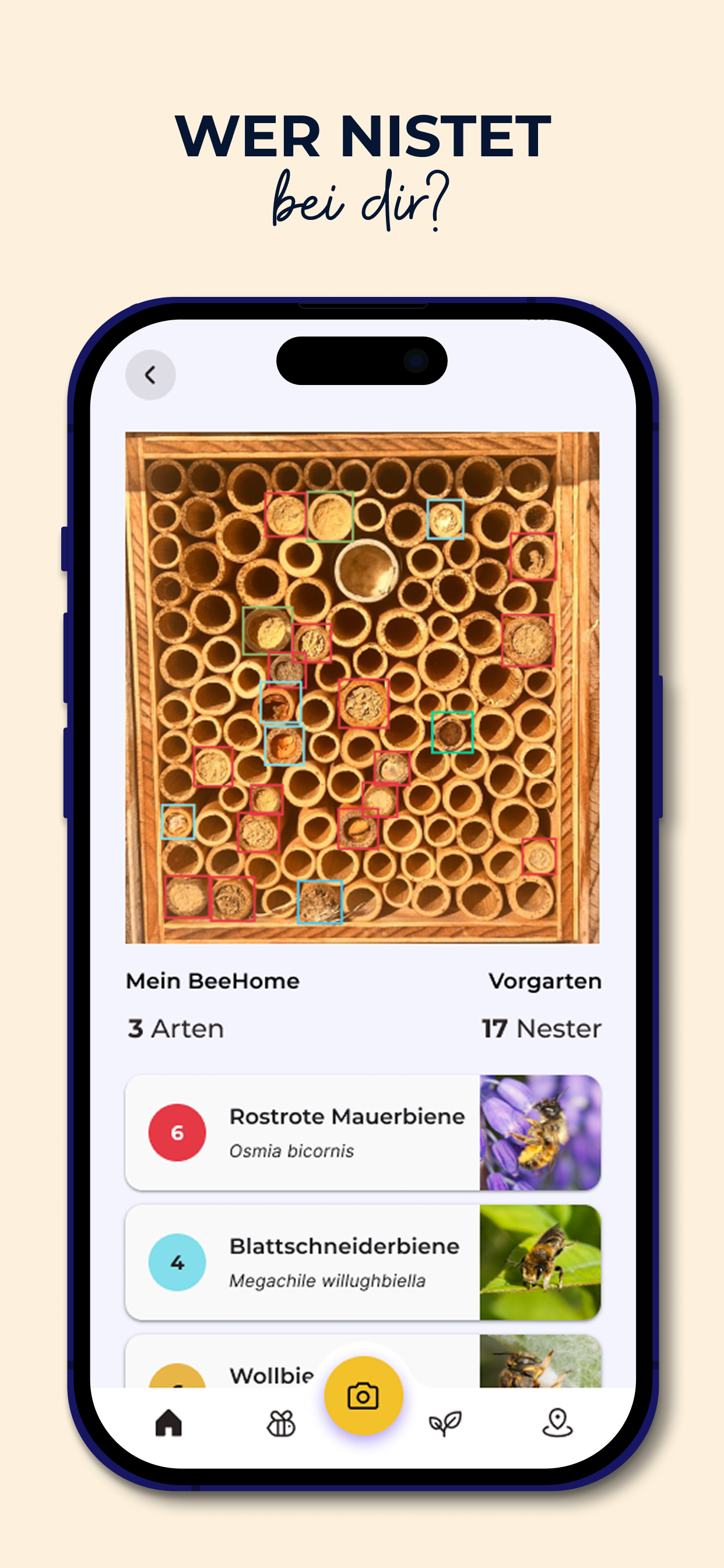 MyBeeHome: Wildbienen Zuhause