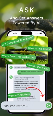 Snake identifier - Snakify screenshot