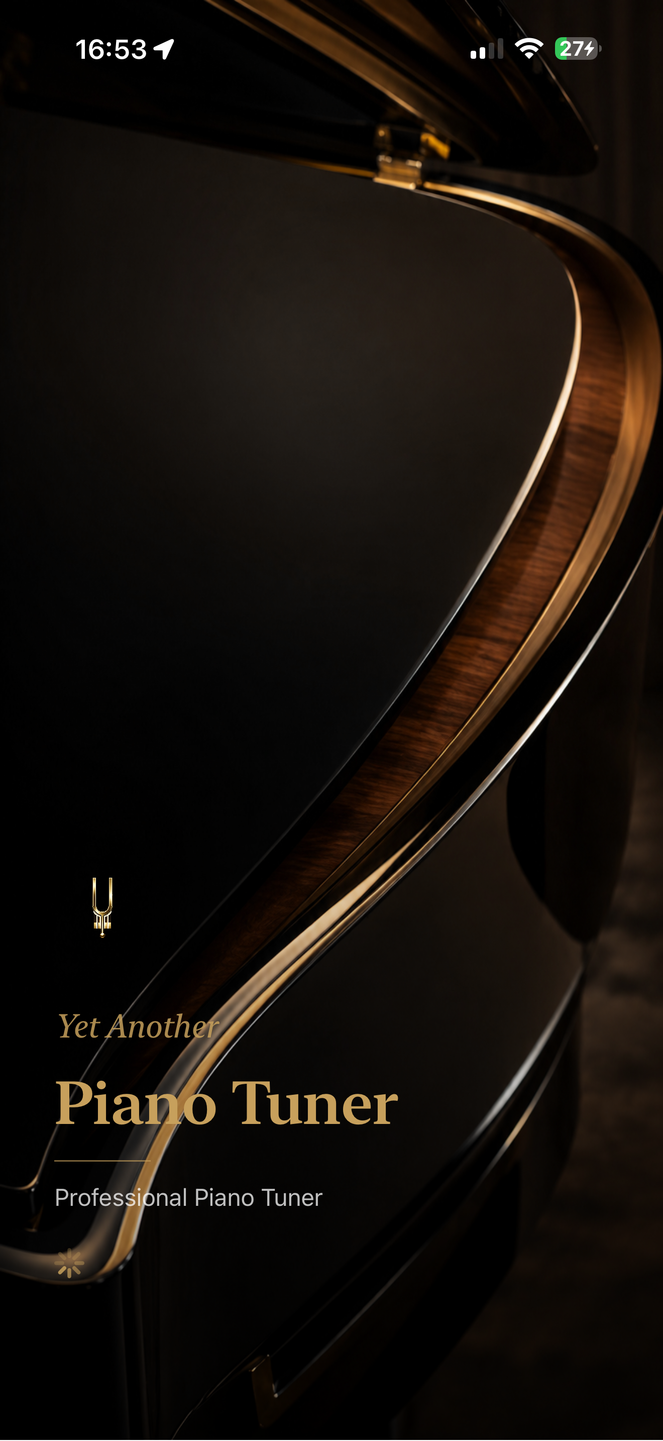 Another Piano Tuner screenshot 6