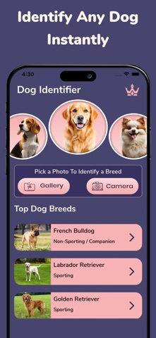 Dog Breed ID: Puppy Scanner screenshot