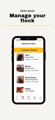 Peep Boss: Chicken Tracker Screenshot 1 of 10