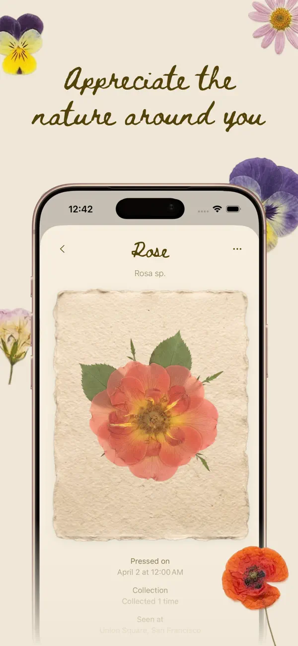Screenshot #3 pour Pressed Petals