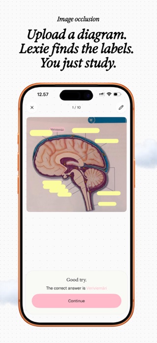 Lexie - Study App & Flashcards Screenshot 10 of 10