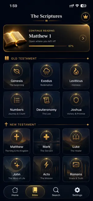 You Version Holy Bible App iPhone screenshot 2