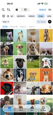 OpenPhotos Screenshot 1 of 7