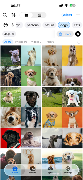 OpenPhotos Screenshot 1 of 7