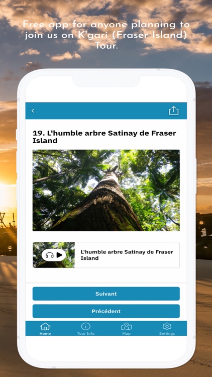 K'gari Explorer Tours