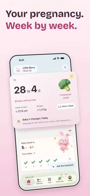 BabyBerry: Pregnancy & Baby screenshot 1