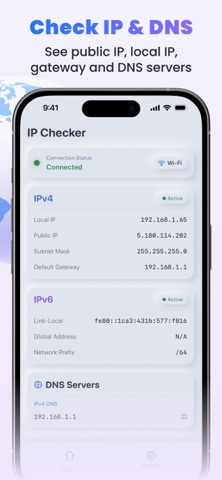 DualIP – IPv4 IPv6 Checker screenshot