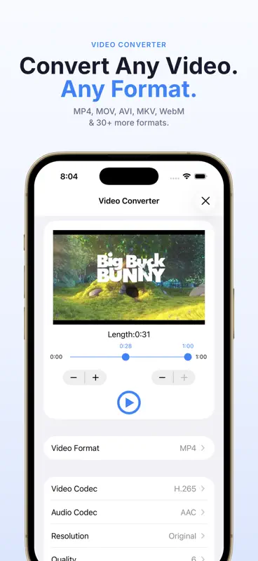 Video to MP3 Converter Master screenshot 3 of 6