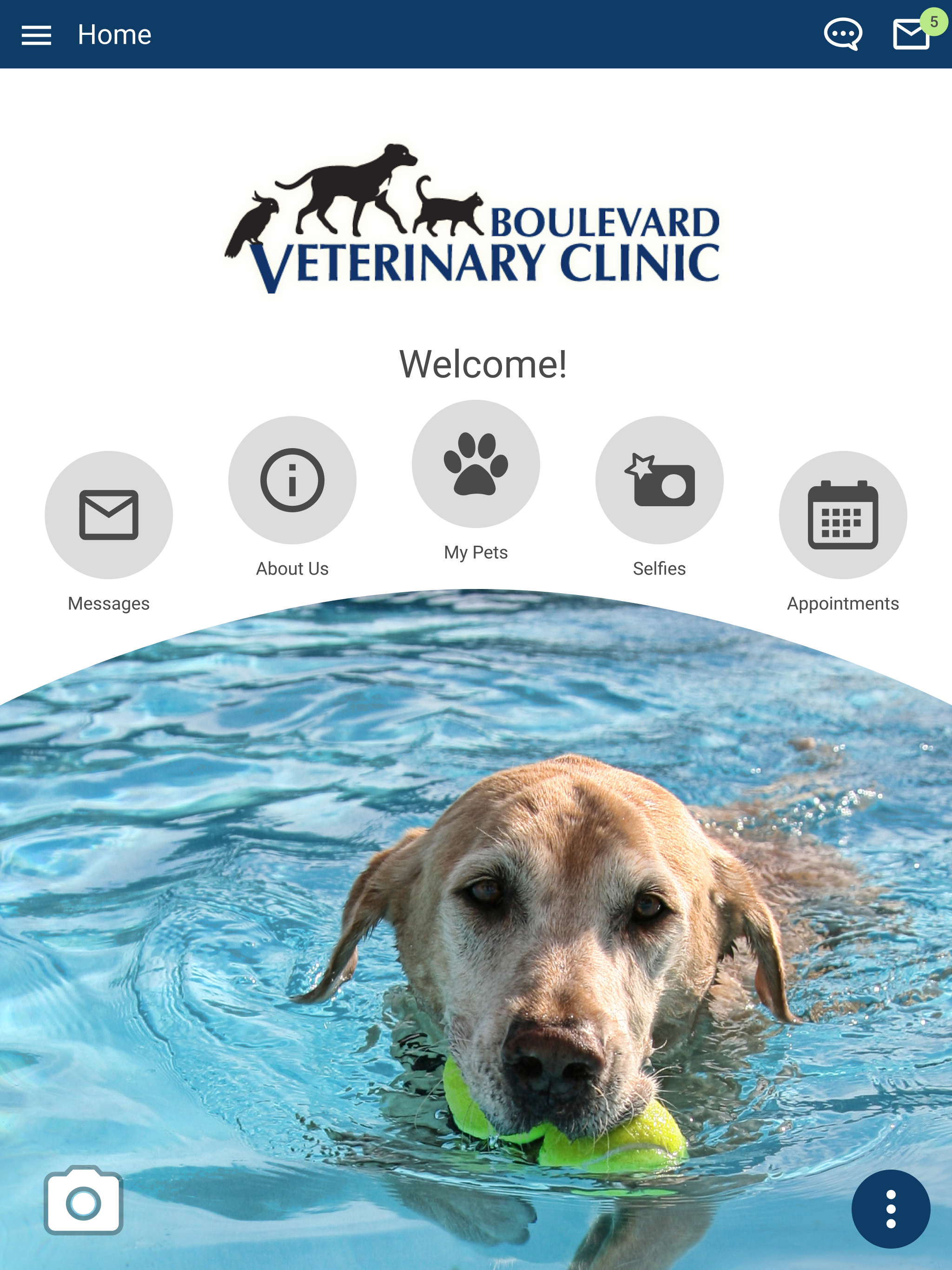 Boulevard Vet Clinic screenshot 6