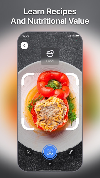 Lens Scan: Identify Anything screenshot-5