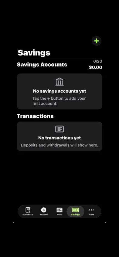 IronGrid Budgeting screenshot 3