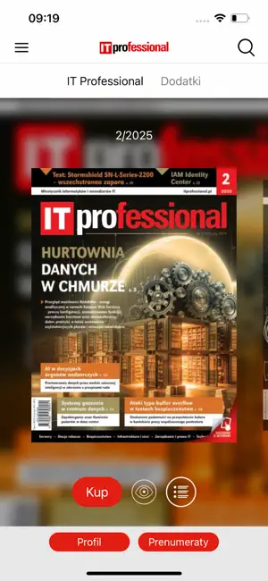 IT Professional screenshot 2