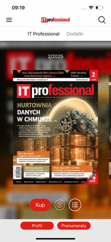 IT Professional Screenshot 2 of 4
