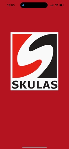Skulas CarWash screenshot
