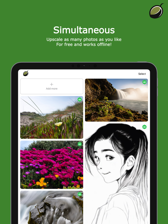 OLVE: AI Photo & Anime Upscale iPad screenshot 3 - Photo & Video app