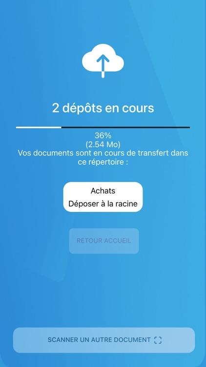 ARK Conseil screenshot-6