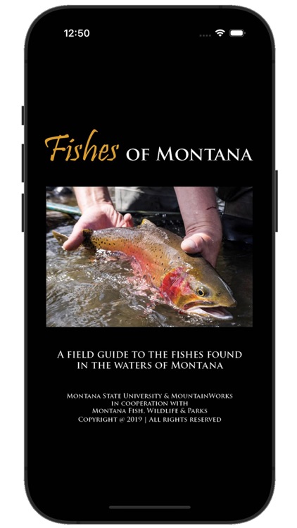 Fishes of Montana