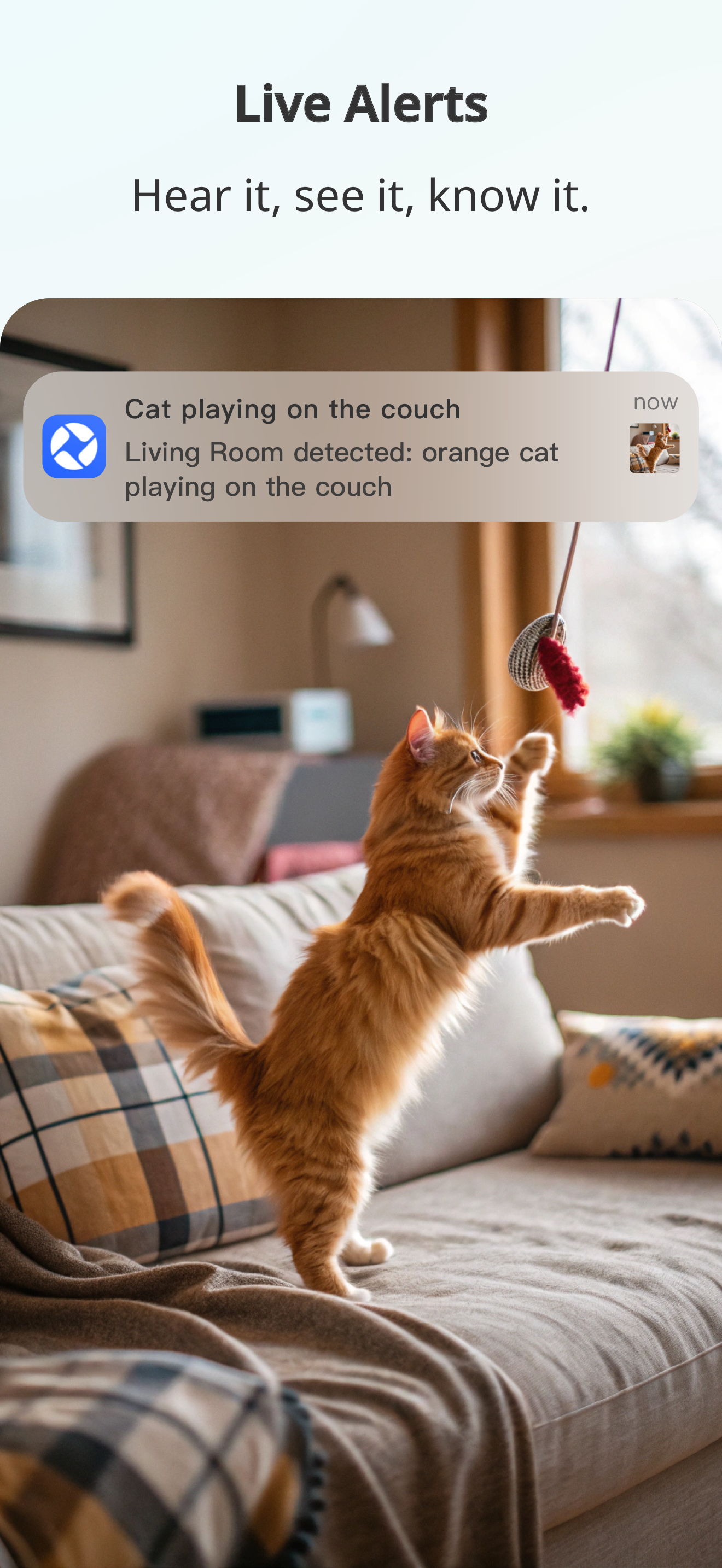 Ease Life - Smart Camera screenshot 6