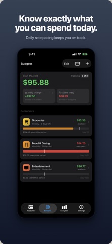 BudgetDaily screenshot
