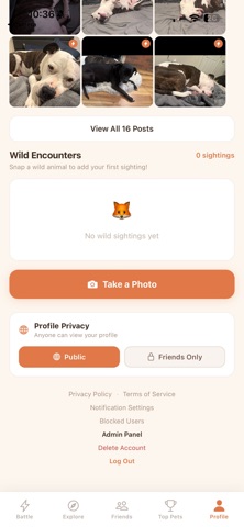 PawTime - Pet Social Network screenshot