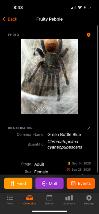 Tarantula Tracker Screenshot 2 of 7