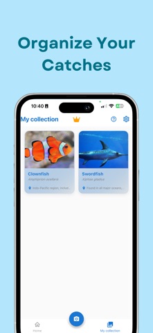 Fish Identifier: SeaID Screenshot 5 of 5