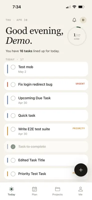 Task Lead screenshot 2