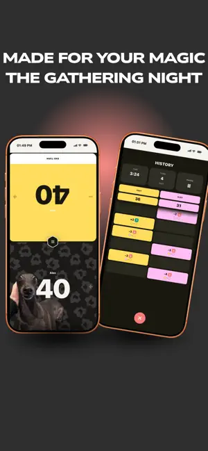 WinVault Tracker screenshot 2