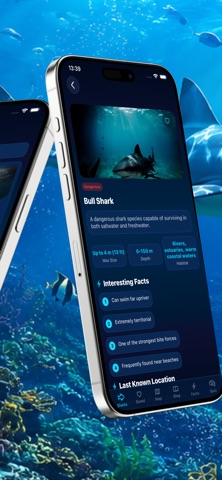 Shark Blue World screenshot