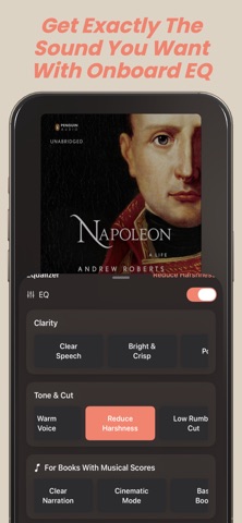 AudioPig Screenshot 7 of 7