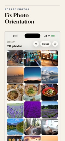Rotate All! Screenshot 1 of 4