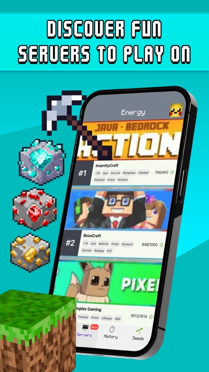 Find Diamonds!™ Minecraft Ores