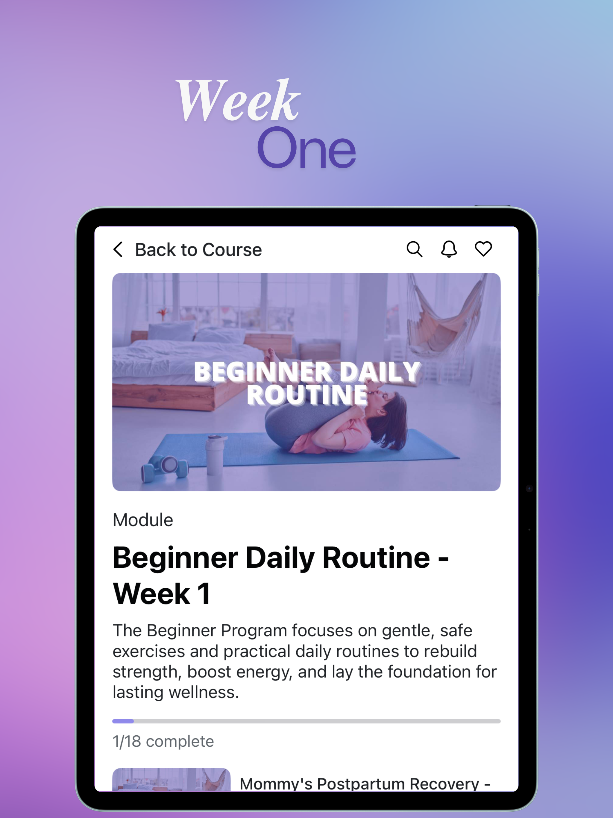 MOMentum Pro screenshot 11