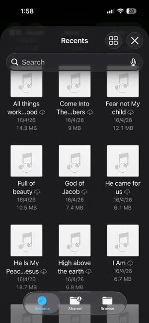 MyPlaylist: Audio, Music, MP3 screenshot 2