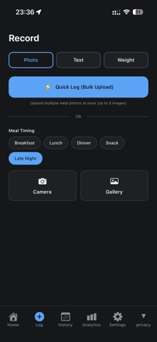 LazyLog screenshot