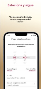 Estacionamiento Digital screenshot