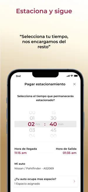 Estacionamiento Digital screenshot 4