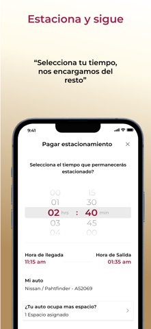 Estacionamiento Digital iPhone screenshot 4