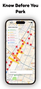 NYC Street Parking Map screenshot
