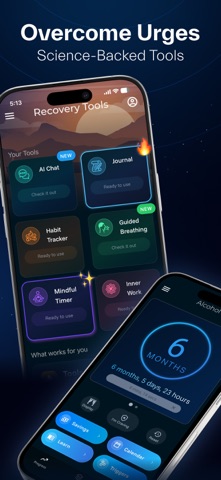 REVICE Sober: Quit with AI screenshot
