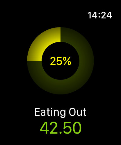 Pico Spend - Expense Tracker screenshot 13